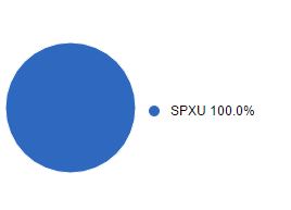 Blue Chip allocation