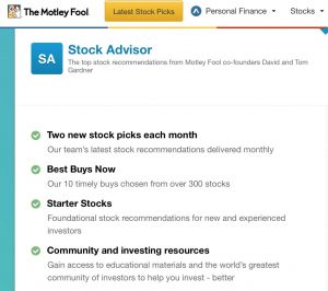 Motley Fool Stock Advisor Details