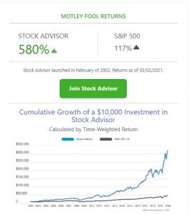 motley fool performance