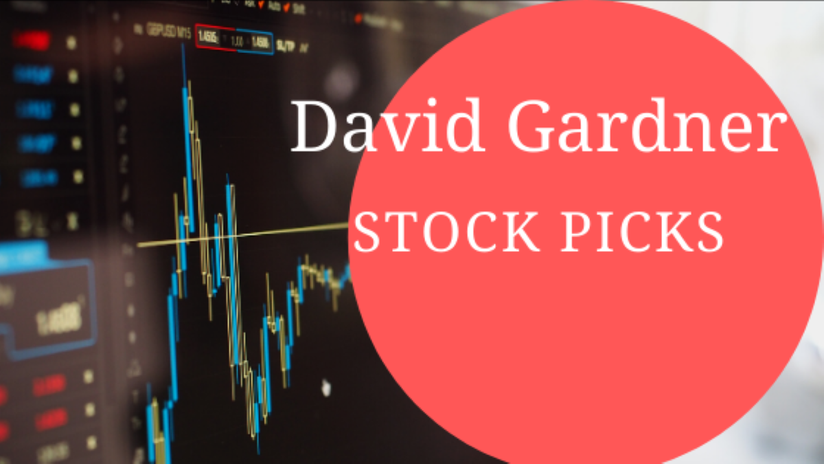 david-gardner-stock-picks