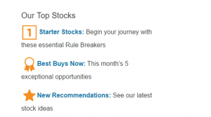 rule-breakers-stock-picks