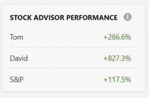 David Gardner's stock performance