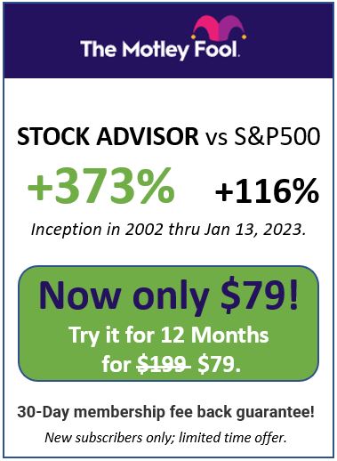 Motley Fool Performance